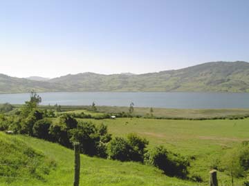 20070330234036-pomacocha.jpeg