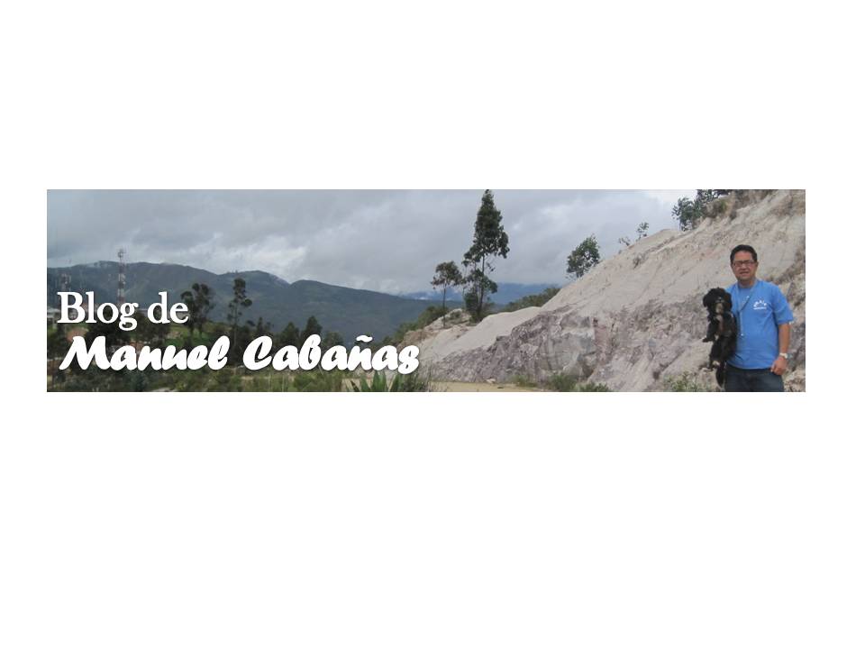 MANUEL CABAÑAS LOPEZ